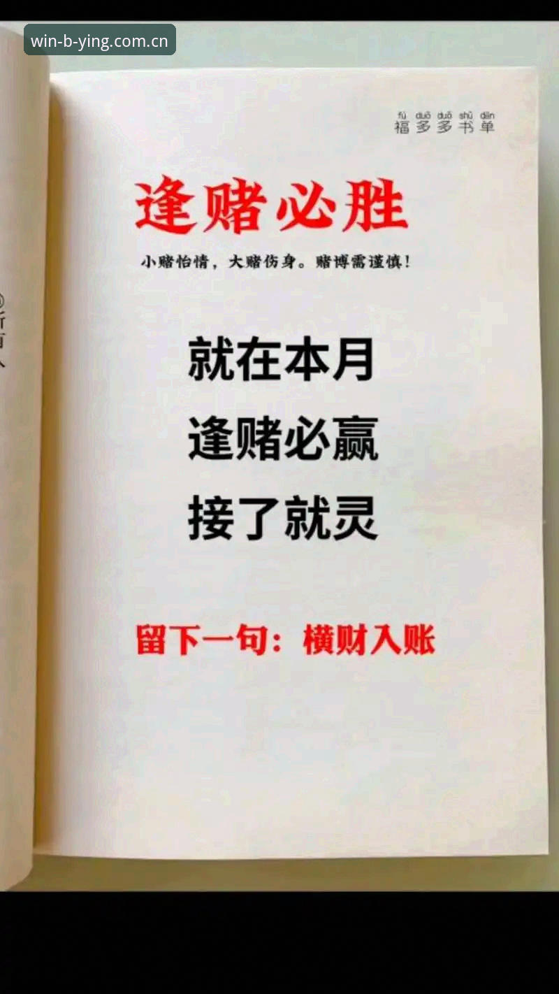 资深用户分享：最新必赢体育APP使用心得与实战经验